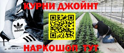 дурь Новодвинск