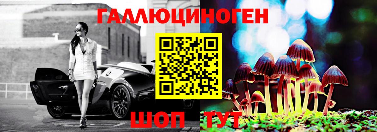 Галлюциногенные грибы Psilocybe  Вход с VPN  Сочи  Галлюциногенные грибы Magic Shrooms 